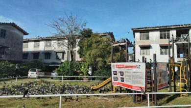 Photo of 违者罚款250 威省设告示牌禁喂鸽 