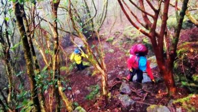 Photo of 女子登山高山症发作 被7队友遗弃山顶2天