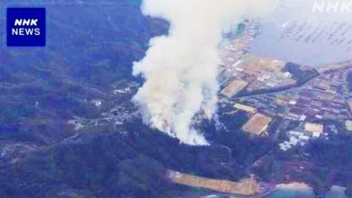 Photo of 日本自卫队训练酿祸 广岛森林大火全面延烧