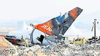 Photo of 济航空难初步报告 两侧发动机吸入花脸鸭