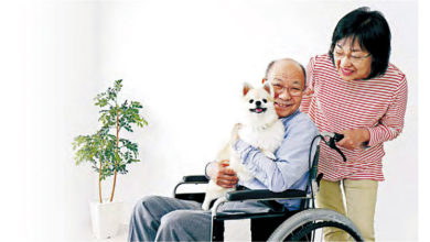 Photo of 【晚晴一照护】松弛神经排解孤独感 动物辅助治疗  帮病人减压