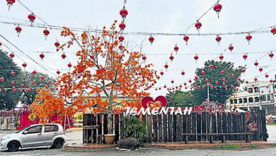 Photo of 利民达中华公会庆团圆 10新春打卡点18日亮灯