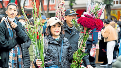 Photo of 逛花市迎新春