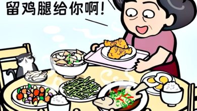 Photo of 特意留饭菜独享2鸡腿 公婆宠媳弥补童年缺憾
