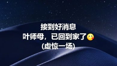Photo of 虚惊一场！一度失联 水墨画大师叶逢仪夫人已平安回家
