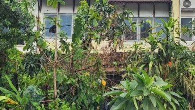 Photo of “地狱租客”欠水电租金逾3万 排屋杂草丛生