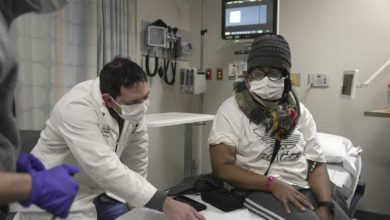 Photo of 刷新医学史上最长纪录 她用猪肾活下来