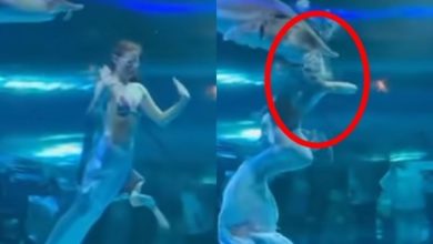 Photo of 巨鱼吞食美人鱼 水族馆塞钱压消息