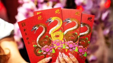 Photo of 婆罗洲棕榈蝮蛇为蓝本 旅游局推红包封