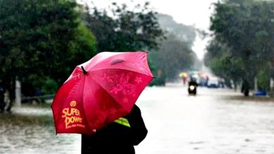 Photo of 东海岸及南马 周四起料强降雨