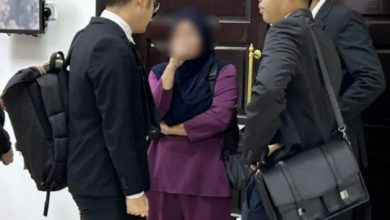 Photo of 非法持有503颗海龟蛋 女警被罚2万