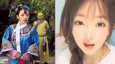 Photo of 小咖无照醉驾撞后逃《甄嬛传》惹下架风险