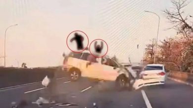 Photo of 没系安全带 2人被抛车外亡
