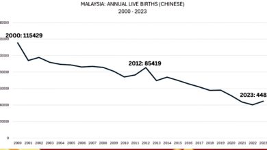 Photo of 沈志勤：龙年3季减逾10% 各族新生儿皆下降