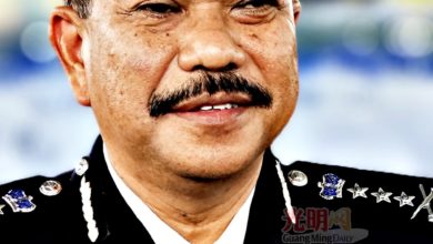 Photo of 破坏栏道木被控滞留槟 韩查：英游客判DNAA