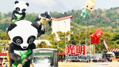 Photo of 41国102爱好者参与 玻风筝节来年办数天