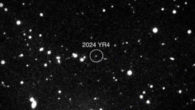 Photo of 小行星撞地球机率降至0.004％ 可松口气了!