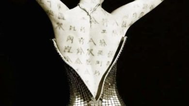 Photo of 安妮希达薇登《W》中文版封面 裸背书法元素引热议