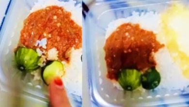 Photo of 【视频】不介意椰浆饭没鱼没花生 但这两片黄瓜她破防了！