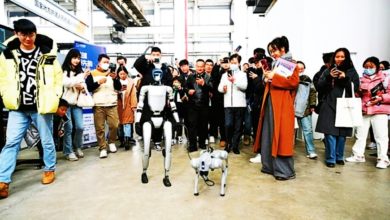 Photo of 宇树科技人形机器人 牵绳“遛”机器狗