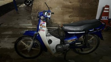 Photo of 甘榜牛突过马路 19岁骑士惨死
