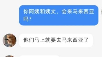 Photo of 来马旅行中国夫妻非失踪 因情绪问题被带下飞机