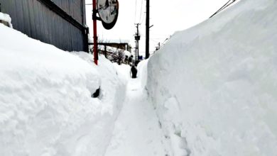 Photo of 大雪酿12死逾百伤 日本政府吁勿单独除雪