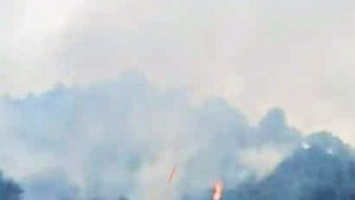 Photo of 双溪龙镇发生林火 消拯员难行使救火受阻