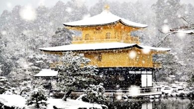 Photo of 最强寒流袭日本 大雪酿1死26伤 金阁寺现”雪化妆”