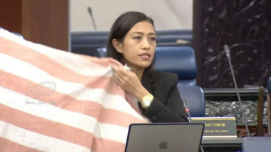 Photo of 斯丽娜:忽视褪色破损辉煌条纹 勿对国旗选择性愤怒