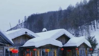 Photo of 舖棉花装雪骗游客 成都”雪村”道歉封村