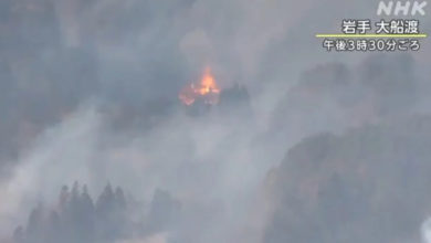 Photo of 日本岩手山林火灾烧至住宅 逾2000人疏散避难