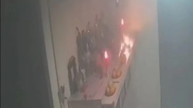 Photo of 爬上神台偷吃供品 老鼠推倒油灯险酿火灾