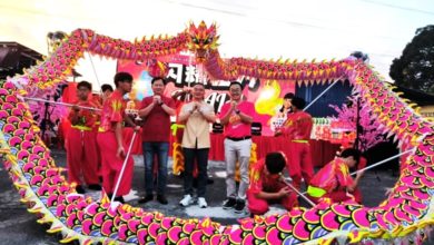 Photo of 特色文化吸引獅城游客 柔南新村旅游魅力大