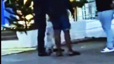 Photo of 警局门口骂警 4男被捕助查