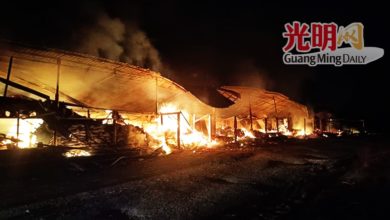 Photo of 火烧养鸡场 4.8万只鸡沒了