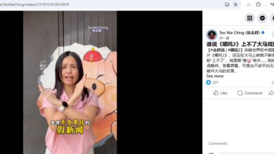 Photo of 谣传《哪咤2》上映无期因为猪? 张念群拍片说真相