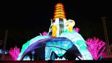Photo of 东禅寺灯会 明起善后暂停开放至21日