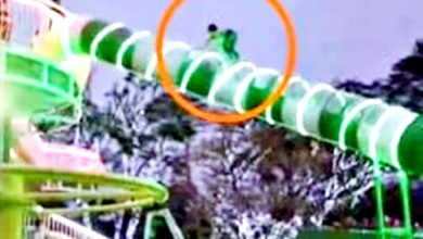 Photo of 10岁童无人看管 逆爬滑梯一楼高吓坏民众