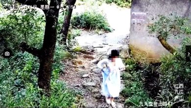 Photo of 女大生逃票进景区坠崖亡 父母索赔58万 法院：不赔
