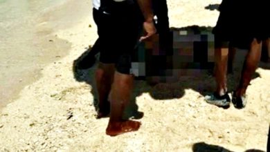 Photo of 女子普吉岛浮潜遇溺脑死 疑遭水上摩多撞到