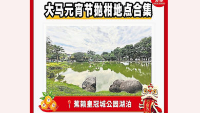 Photo of 雪隆多区庆元宵节 明欢迎民众来你抛我捞