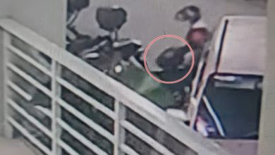 Photo of 陈小姐头盔被偷 罗弄古力寻回