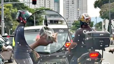 Photo of 路中央温情一幕 骑士钻车底救猫