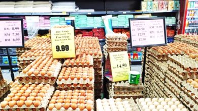 Photo of 买一送一不到10元 连锁超市鸡蛋大促销