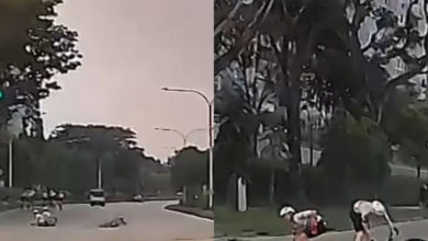 Photo of 【视频】脚车骑士转弯打滑跌落路中 路过车乘客爆笑被网挨批