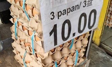 Photo of 3托普通鸡蛋卖RM10 店家：可以吃到吐了