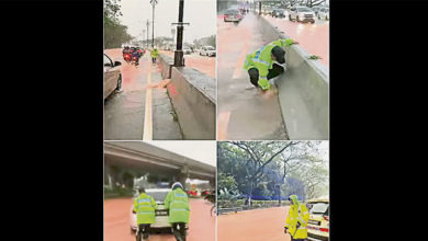 Photo of 新山大雨成灾 多区积水树倒阻路