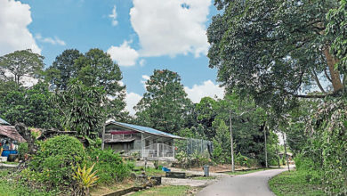 Photo of 居鑾市会设专案组寻策 商君隆南峇村重组