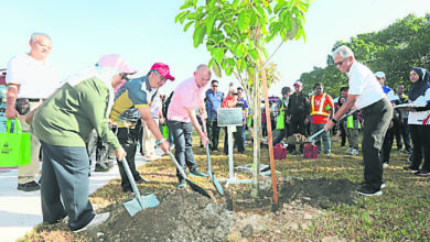 Photo of 美嘉斯杜亚交通圈旁空地 获隆市局打造绿肺